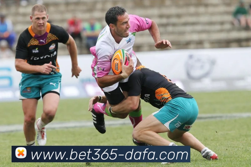 多媒体互动体验